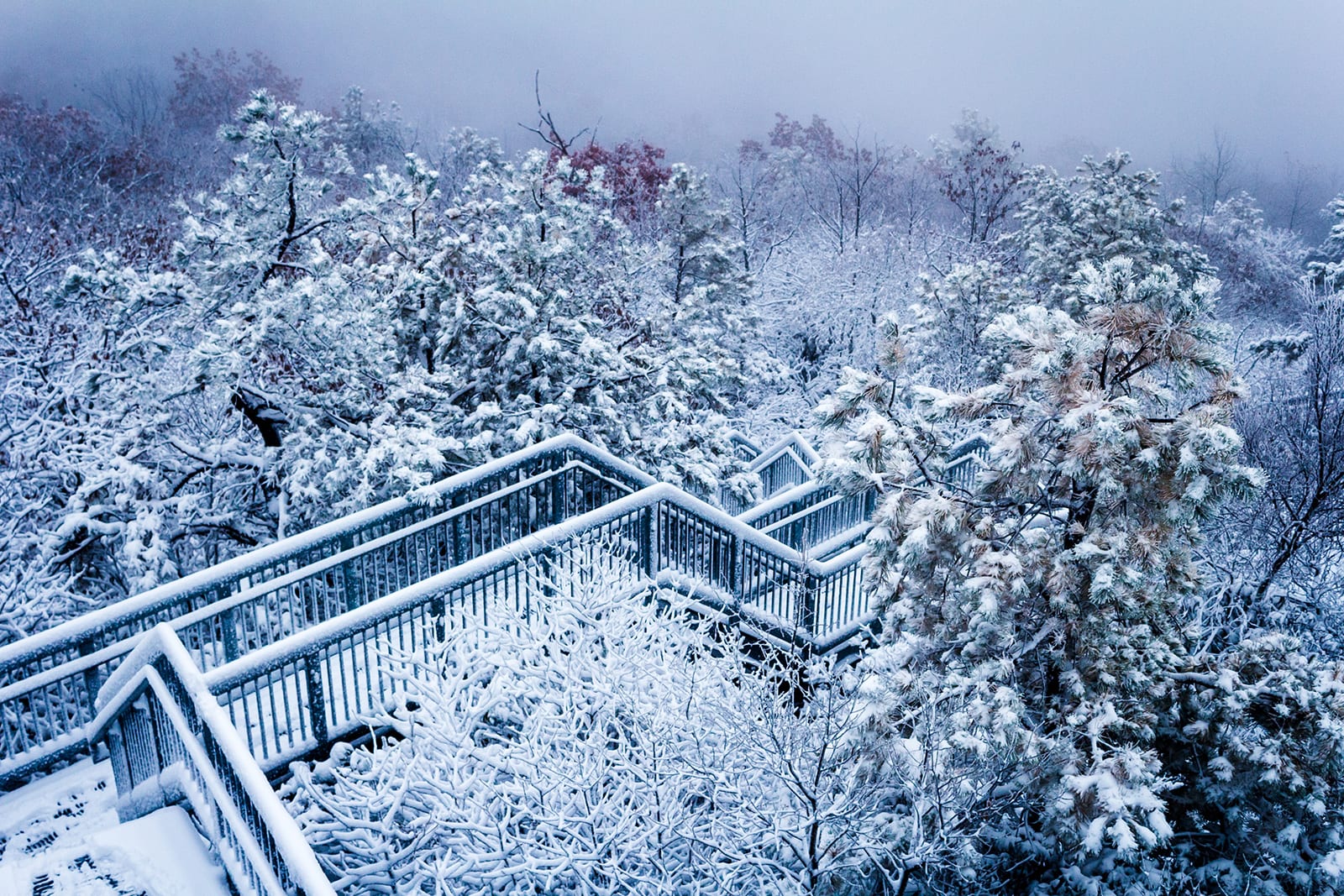 Visit Dickenson County and the Birch Knob Tower - Virginia Association ...